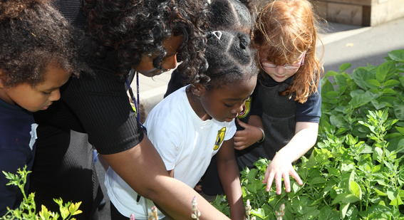 teacher guiding students on planting